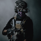 RangerPinky's Avatar'
