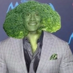 CoolBoy42069's Avatar'