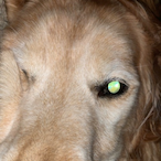 Keykido0213's Avatar'