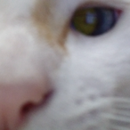 Jotinha_JPEG's Avatar'