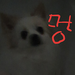 N0dochi's Avatar'