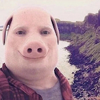 porksent's Avatar'
