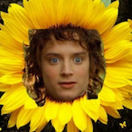 vFirno's Avatar'