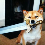 Jackson3874's Avatar