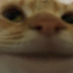 mikzyyz's Avatar'