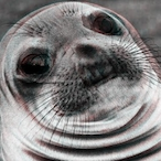 Quazard.'s Avatar'