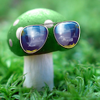 PiereeDolNick's Avatar'