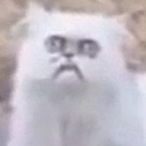 not...me..'s Avatar'