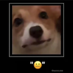 MrFox1907's Avatar'