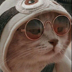 Yeahboieeeeeeee's Avatar'