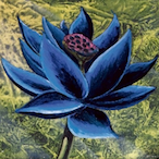 m_emu's Avatar'