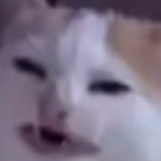 BDSM_RexYuGiOh's Avatar'