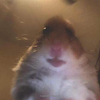 Mystic_7225's Avatar'