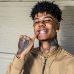 tigreknox01's Avatar'