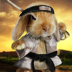 con window's Avatar'