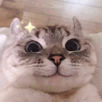 Magireve69's Avatar'