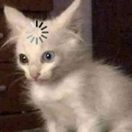 Sebiiiiiiiii's Avatar'