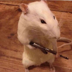 temp-614064911's Avatar'