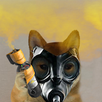 blinkerrcityy's Avatar'