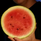 THE_KLUNK's Avatar'