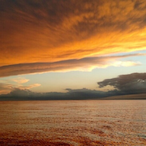 Cup.Of.Water's Avatar'