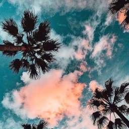 Aesthet1c.-