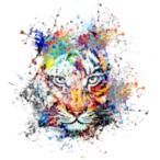 Arkanzito.'s Avatar'