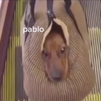Endergreg2020's Avatar'