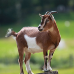 qpforlunch's Avatar'