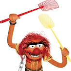 flyswatter7777's Avatar