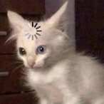 X-peach's Avatar'