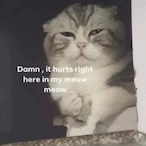 Newcomer.2k's Avatar'