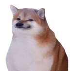 JustSlightlyOff's Avatar'