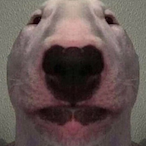 ButteredSsg's Avatar'