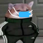 Pelotacas_60FPS's Avatar