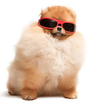 Ember_Sloth's Avatar'