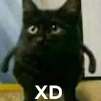 LoanSlayer's Avatar'