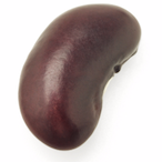 Rest-in-beans.'s Avatar'