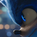 Sonic.-boom's Avatar'