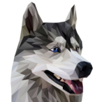 Husky._'s Avatar'