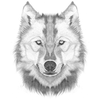Sunwardewe79901's Avatar'