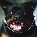 Crispyclean777's Avatar'