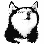 AC_Lord's Avatar'