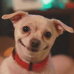 Vou.Te.Pinei's Avatar'