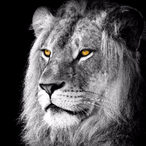 ll-Josrandal-ll's Avatar'