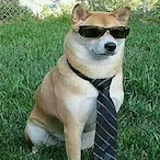 Nicotax0's Avatar'