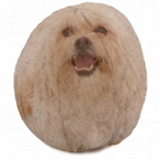 mdog10101's Avatar'