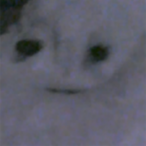 Snawmin's Avatar'