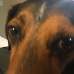 TenableHarbor17's Avatar'