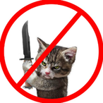 IAmPotatoAMA's Avatar'